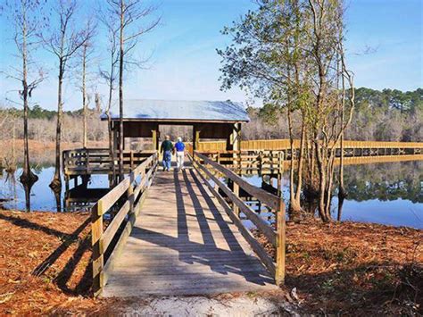 Laura walker state park - Laura S. Walker State Park. Introduction. Featuring a 120-acre lake, Wildlife Observation Boardwalk and a golf course, Laura S. Walker State Park is a great …